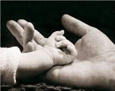 Taller de encuentro de paternidad presente: "Con P de Papá"