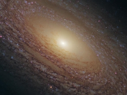 GRUPOS DE OBSERVACIÓN CON MONITORES Y TELESCOPIOS