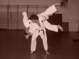 Seminario de Aikido