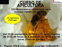 Curso de Apicultura (un año)