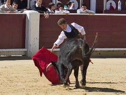 II CERTAMEN DE ESCUELAS DE TAUROMAQUIA DE MADRID