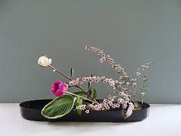 TALLER IKEBANA (Arte Floral Japonés)