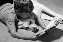 "Perros y letras"