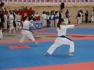 Artes Marciales