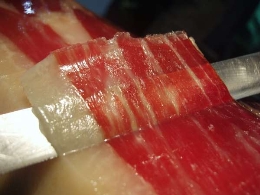 V Matanza Didáctica Extremeña