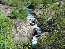 Campamento de verano en la Garganta de los Montes