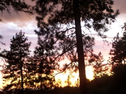Sendas Nocturnas por la Sierra de Guadarrama