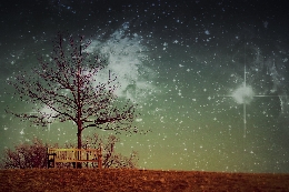 "Luna menguante en el Parque Nacional" - Paseo por la Sierra de Guadarrama