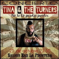 Tina & The Turners en concierto