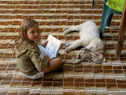 El perro, el mejor amigo del niño lector