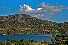 Excursión de avistamiento de aves