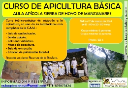 Curso de apicultura básica