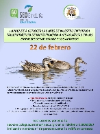 Taller de identificación de aves acuáticas en Valmayor y Los Arroyos