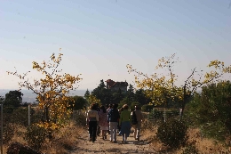 Sendas ambientales guiadas por Torrelodones