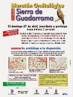 XI Maratón Ornitológico Sierra de Guadarrama