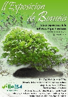 II Exposición de Bonsáis
