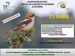 Doble actividad medioambiental