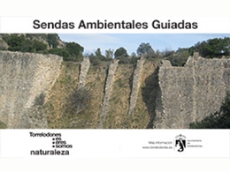Sendas ambientales guiadas por Torrelodones