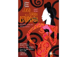 “El caso de la señora estupenda”