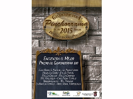 PINCHORRAMA 2015