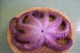 La feria del Pulpo