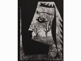 “CARPETA PICASSO. DIURNES”