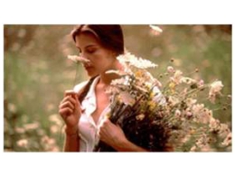 Cine: Belleza Robada