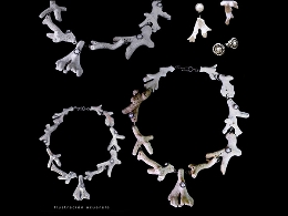 La escultura en Joyería