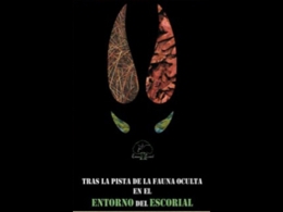El rastro de la fauna escurialense