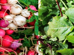La alimentación como eje de salud y vitalidad