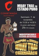 Seminario: "MUAY THAY EN ESTADO PURO"