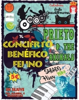 Concierto benéfico felino en favor de los animales de Amikeha