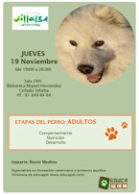 Etapas del perro: Adulto