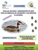Huellas, rastros y observación de aves por Valmayor y Los Arroyos