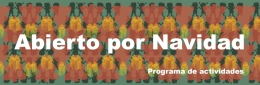 Fiestas de Navidad 2015/2016