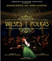 Concierto de Año Nuevo "Valses y Polkas"