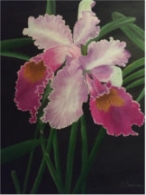 Exposición de pintura Pepita Serrano