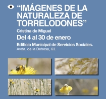 IMÁGENES DE LA NATURALEZA DE TORRELODONES