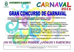 Desfile y Concurso del Carnaval 2016