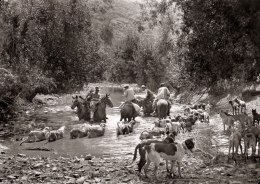 Una Partida en el Campo. Fotografías de Ragel (1920-1935)