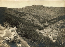 Monte Abantos, más de 100 años de su repoblación, más de 100 razones para su conservación