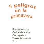 5 peligros en la primavera