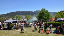 Fiesta de la Cruz de Mayo