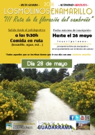 III Ruta de la floración del cambroño