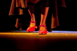 Festival de danza clásica