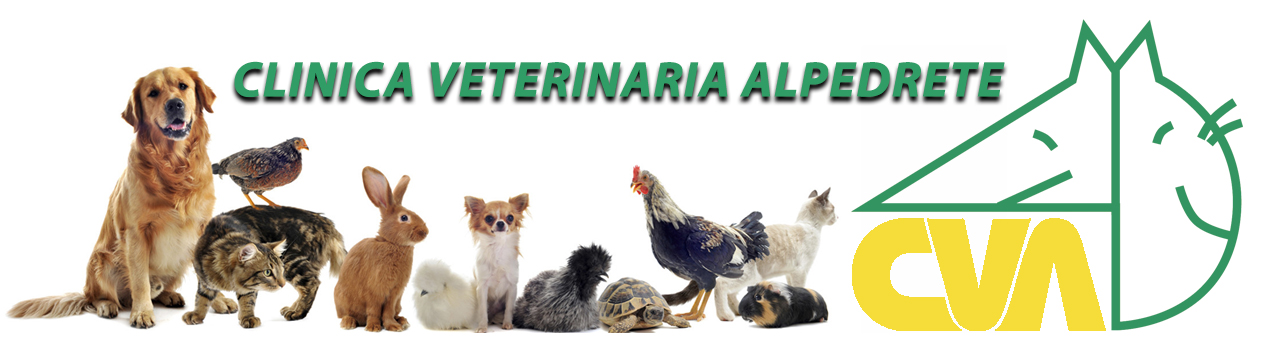 CLÍNICA VETERINARIA ALPEDRETE
