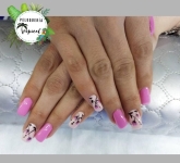 Peluquería Tropical