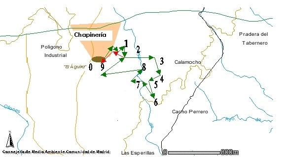 Los encinares de Chapinería Los encinares de Chapinería