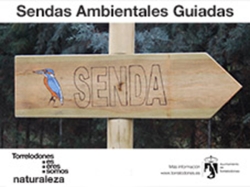 Sendas ambientales guiadas por Torrelodones durante el mes de octubre
