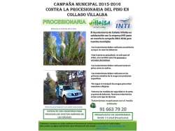 Comienza la Campaña Municipal 2015-2016 contra la procesionaria